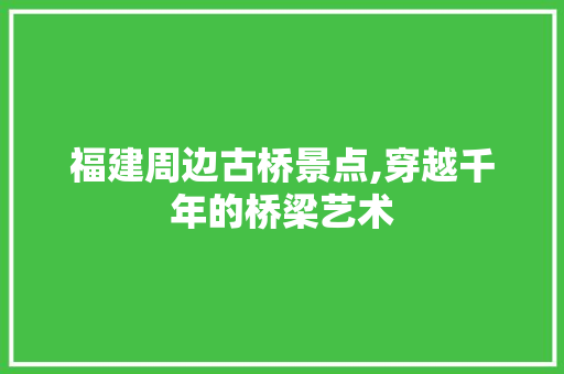 福建周边古桥景点,穿越千年的桥梁艺术