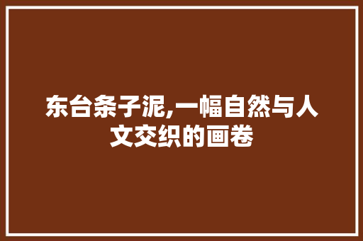 东台条子泥,一幅自然与人文交织的画卷