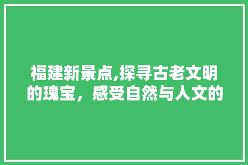 福建新景点,探寻古老文明的瑰宝，感受自然与人文的交融