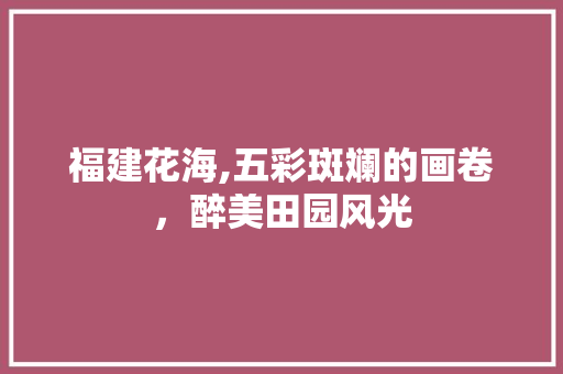 福建花海,五彩斑斓的画卷，醉美田园风光