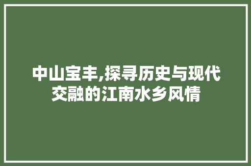 中山宝丰,探寻历史与现代交融的江南水乡风情