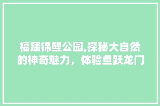 福建锦鲤公园,探秘大自然的神奇魅力，体验鱼跃龙门的奇幻之旅