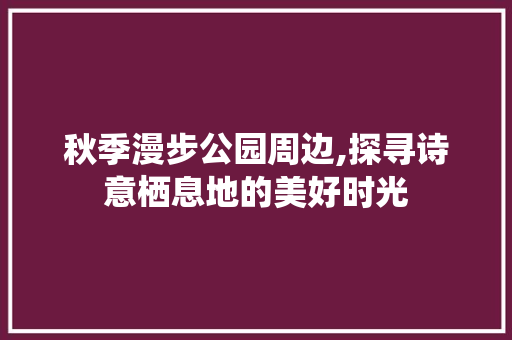 秋季漫步公园周边,探寻诗意栖息地的美好时光