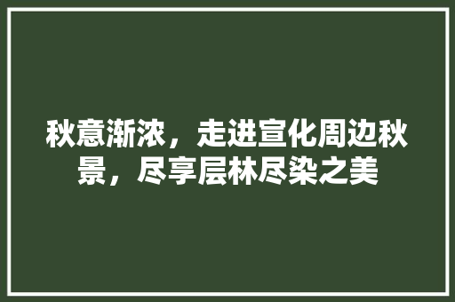 秋意渐浓，走进宣化周边秋景，尽享层林尽染之美