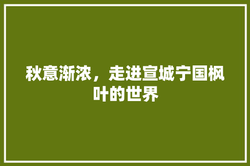 秋意渐浓，走进宣城宁国枫叶的世界