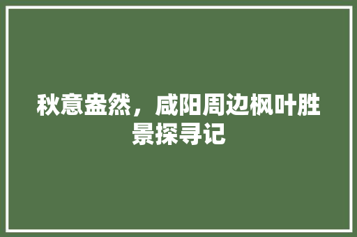 秋意盎然，咸阳周边枫叶胜景探寻记