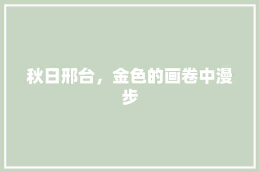 秋日邢台，金色的画卷中漫步