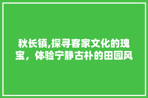 秋长镇,探寻客家文化的瑰宝，体验宁静古朴的田园风光