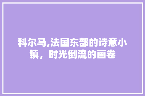 科尔马,法国东部的诗意小镇，时光倒流的画卷