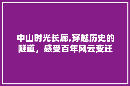 中山时光长廊,穿越历史的隧道，感受百年风云变迁