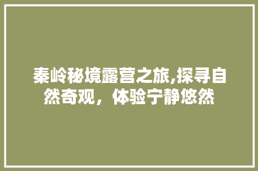 秦岭秘境露营之旅,探寻自然奇观，体验宁静悠然