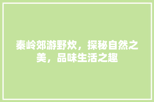 秦岭郊游野炊，探秘自然之美，品味生活之趣