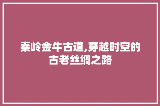 秦岭金牛古道,穿越时空的古老丝绸之路