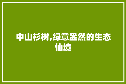 中山杉树,绿意盎然的生态仙境  第1张