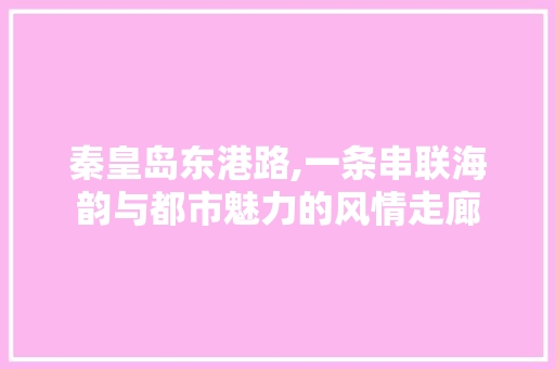 秦皇岛东港路,一条串联海韵与都市魅力的风情走廊