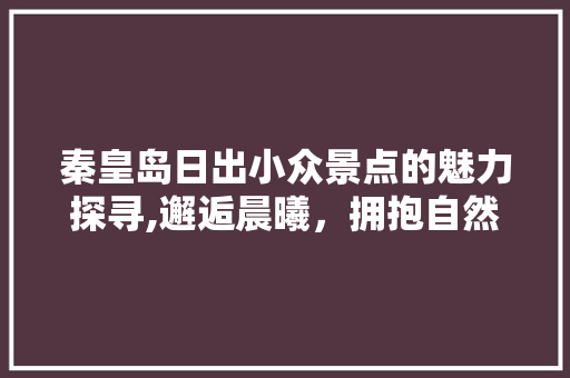 秦皇岛日出小众景点的魅力探寻,邂逅晨曦，拥抱自然之美