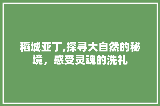 稻城亚丁,探寻大自然的秘境，感受灵魂的洗礼