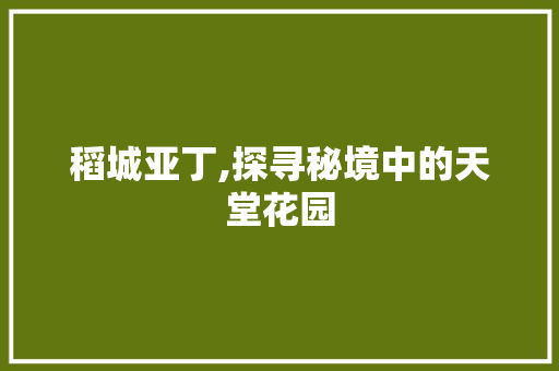 稻城亚丁,探寻秘境中的天堂花园