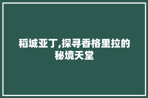 稻城亚丁,探寻香格里拉的秘境天堂