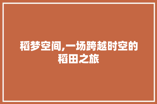 稻梦空间,一场跨越时空的稻田之旅