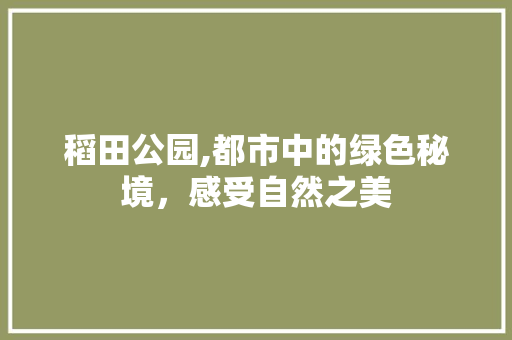 稻田公园,都市中的绿色秘境，感受自然之美