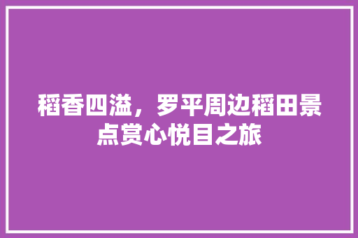 稻香四溢，罗平周边稻田景点赏心悦目之旅