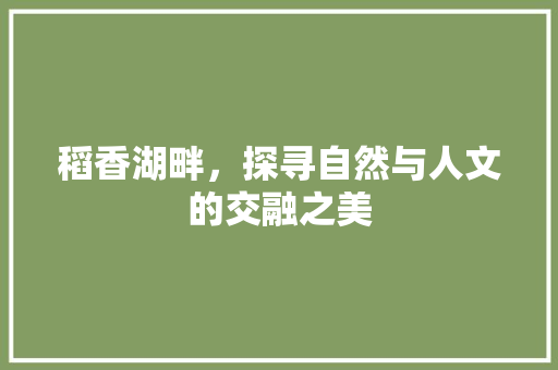 稻香湖畔，探寻自然与人文的交融之美