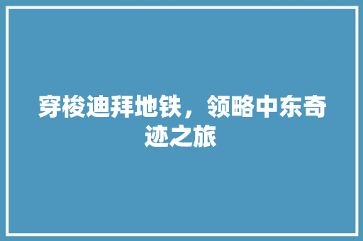 穿梭迪拜地铁，领略中东奇迹之旅