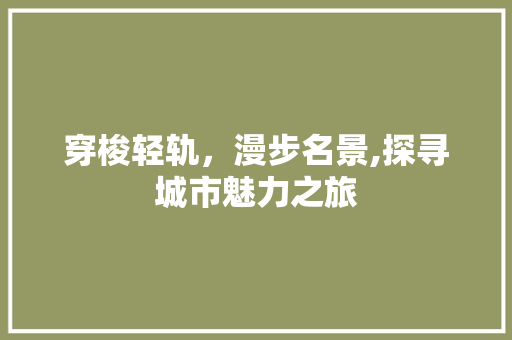 穿梭轻轨，漫步名景,探寻城市魅力之旅