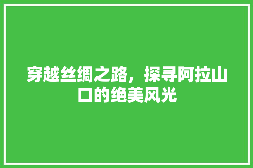 穿越丝绸之路，探寻阿拉山口的绝美风光