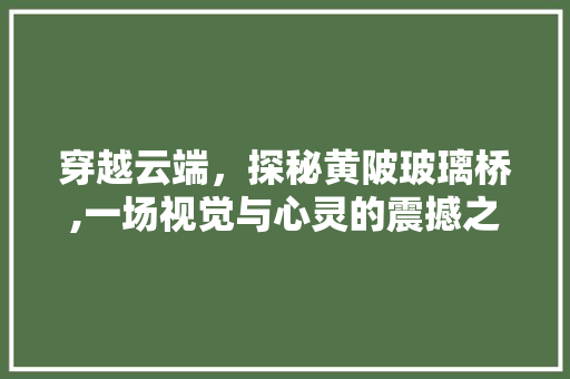 穿越云端，探秘黄陂玻璃桥,一场视觉与心灵的震撼之旅