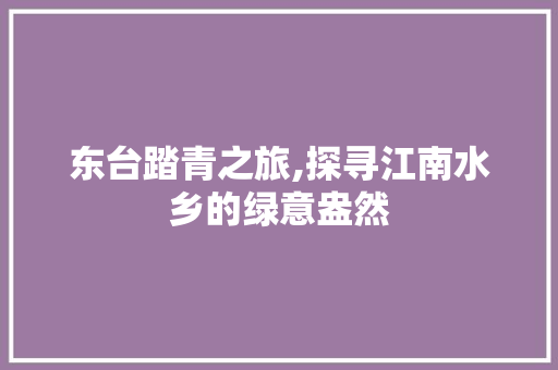 东台踏青之旅,探寻江南水乡的绿意盎然