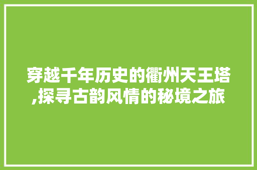 穿越千年历史的衢州天王塔,探寻古韵风情的秘境之旅