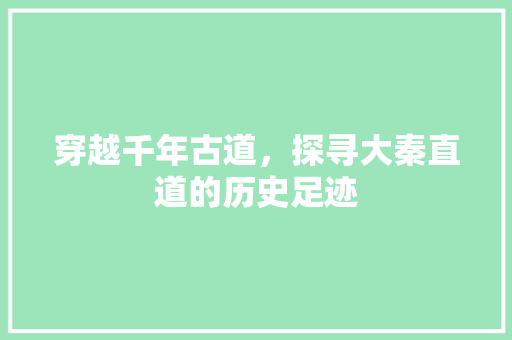 穿越千年古道，探寻大秦直道的历史足迹