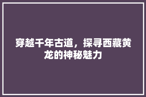 穿越千年古道，探寻西藏黄龙的神秘魅力