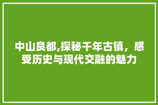 中山良都,探秘千年古镇，感受历史与现代交融的魅力