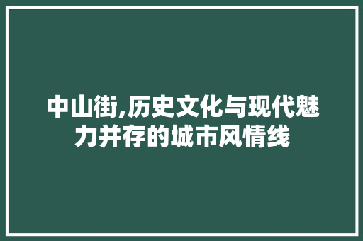 中山街,历史文化与现代魅力并存的城市风情线