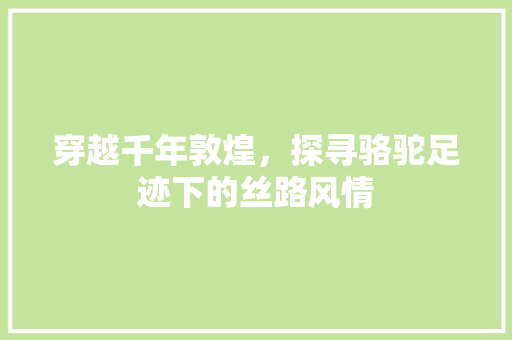 穿越千年敦煌，探寻骆驼足迹下的丝路风情