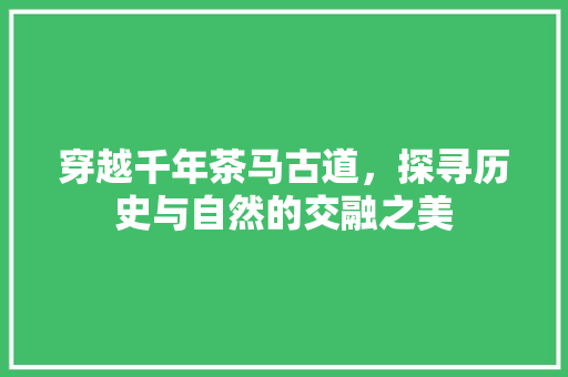 穿越千年茶马古道，探寻历史与自然的交融之美