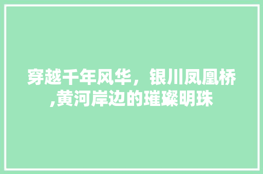 穿越千年风华，银川凤凰桥,黄河岸边的璀璨明珠