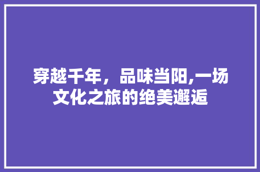 穿越千年，品味当阳,一场文化之旅的绝美邂逅