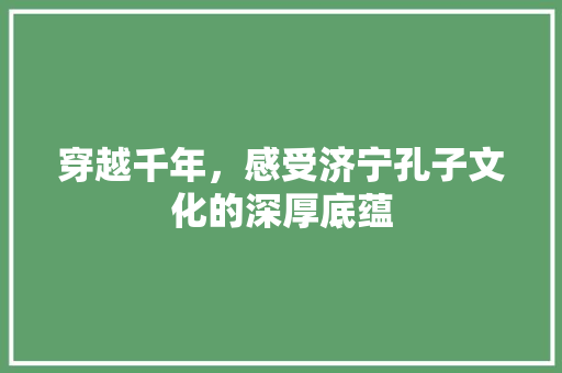 穿越千年，感受济宁孔子文化的深厚底蕴