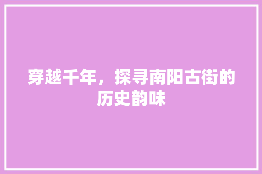 穿越千年，探寻南阳古街的历史韵味