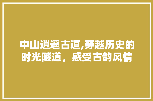 中山逍遥古道,穿越历史的时光隧道，感受古韵风情