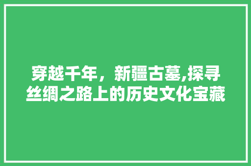 穿越千年，新疆古墓,探寻丝绸之路上的历史文化宝藏