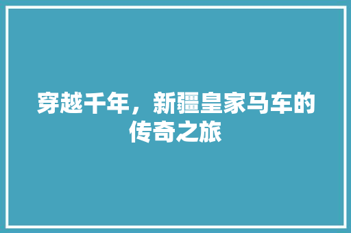 穿越千年，新疆皇家马车的传奇之旅