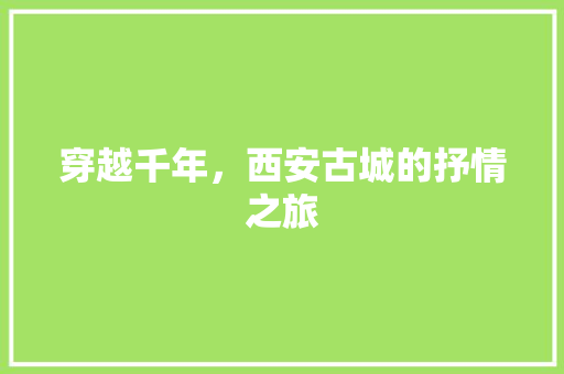 穿越千年，西安古城的抒情之旅