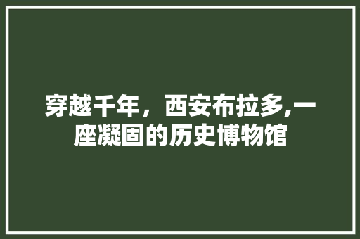 穿越千年，西安布拉多,一座凝固的历史博物馆