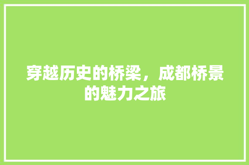 穿越历史的桥梁，成都桥景的魅力之旅