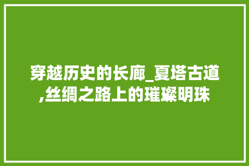 穿越历史的长廊_夏塔古道,丝绸之路上的璀璨明珠